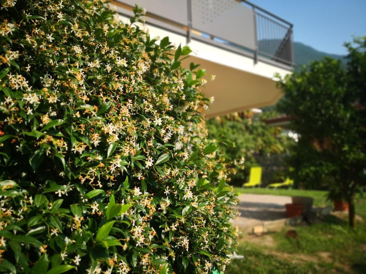 B&B Esmeralda อาร์โก ภายนอก รูปภาพ